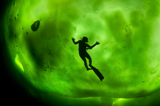 Illustration for article titled 20 Most Inspiring Entries in Red Bull's Epic Photo Contest